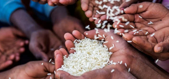 Bühler and dsm-firmenich join forces to advance efforts to combat hidden hunger in Nigeria