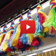 Behind subtle thoughts: a glimpse of Lhasa’s 1,300-year-old street renovation