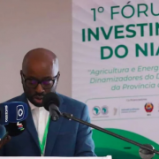 Mozambique: first Niassa Investment Forum aims to attract investment to agribusiness and energy in Niassa Province