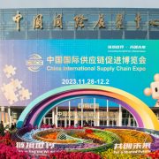 International business rep.: CISCE establishes platform for global cooperation