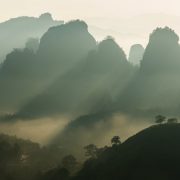 A sip of tea, a discovery of China