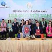 International Festival of Vietnam Rice Industry – Hau Giang 2023: ‘Green Rice for Life’