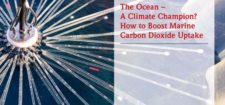 maribus publishes the eighth edition of World Ocean Review: “The ocean – a climate champion?  How to boost marine carbon dioxide uptake”