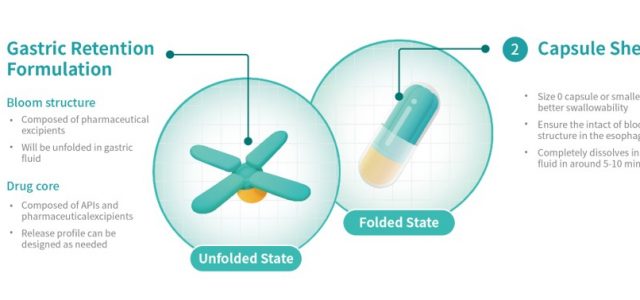 Triastek’s 3D Printed Gastric Retention Product T22 Receives FDA Clearance of IND Application