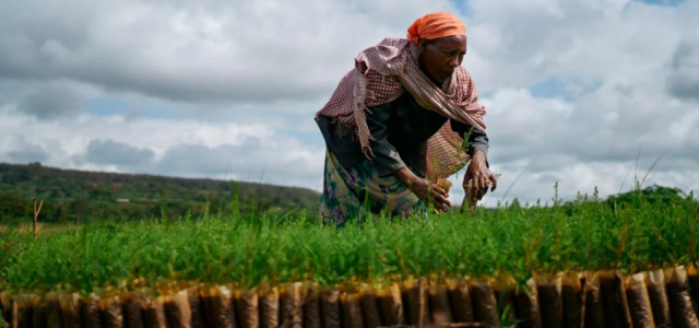 Ethiopia: African Development Fund grants $46 million to improve access to water and sanitation for pastoral communities in the Borana region