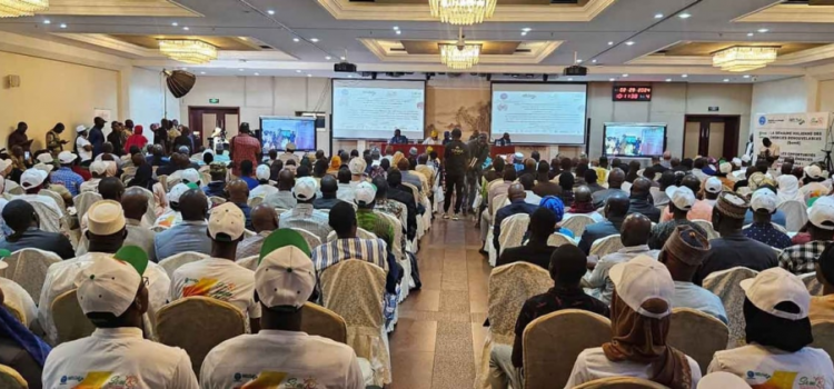 Mali: Partners and key players commit to developing renewables sector at opening of 3rd Renewable Energies Week