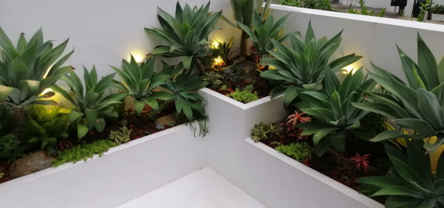 Primula Florist Expands Business Offerings, Launches Landscape Design Services