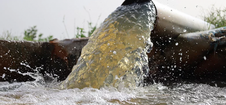 Bringing forth water to combat food insecurity and climate change in the Sahel