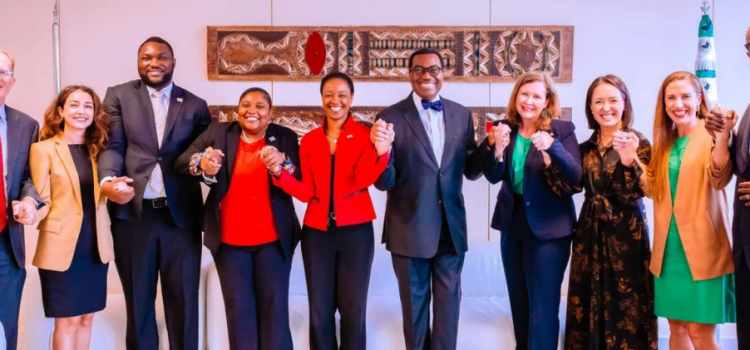 Africa Development Bank and the US government strengthen strategic partnership