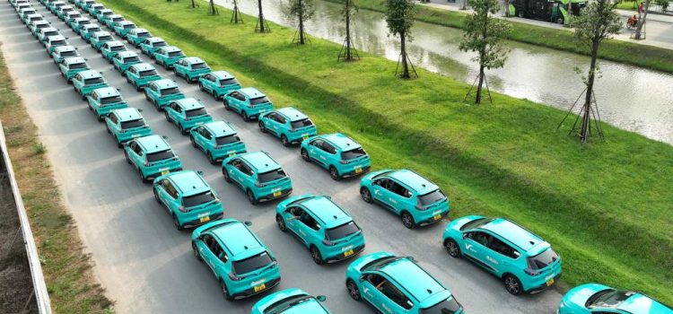 GSM surpasses 50 million customers after 1 year of launch