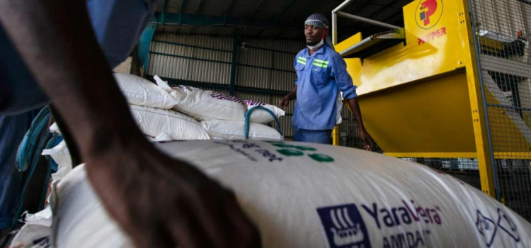 The Africa Fertilizer Financing Mechanism receives $7.3 million to boost agricultural productivity and smallholder farmers’ income
