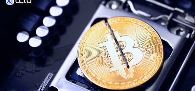 Octa crypto snapshot: investors behavior predictions after Bitcoin halving