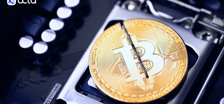 Octa crypto snapshot: investors behavior predictions after Bitcoin halving