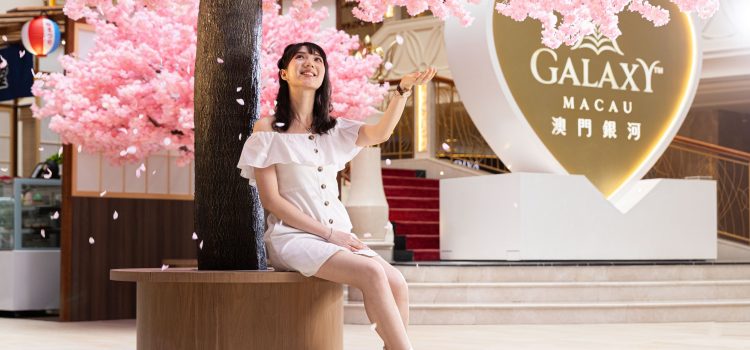 Galaxy Macau’s Sakura Cultural Festival Kicked off in Splendor