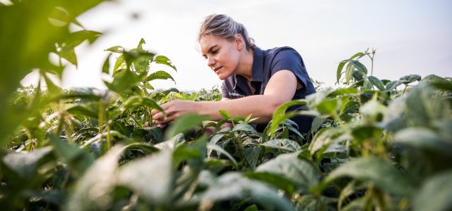 Syngenta extends leadership in fungicides with ADEPIDYN® technology