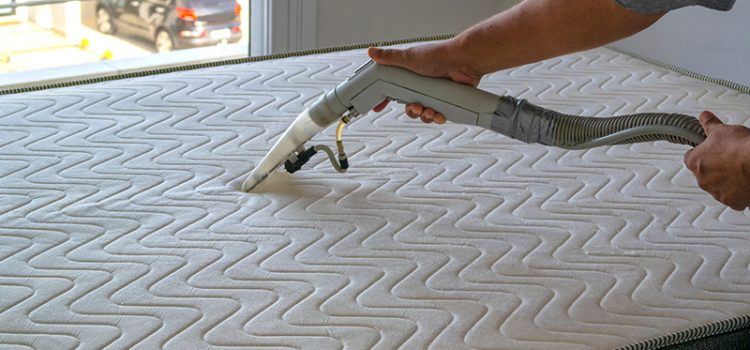 Cleanbed Offers Free Home Cleaning Sessions