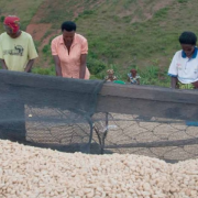 Rwanda: Significant results midway through the implementation of the African Development Bank country strategy 2022-26