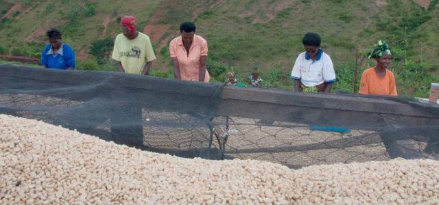 Rwanda: Significant results midway through the implementation of the African Development Bank country strategy 2022-26