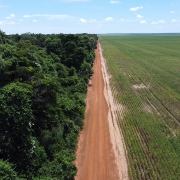 Syngenta Group and The Nature Conservancy (TNC) extend collaboration