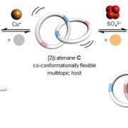 HKU Chemists Develop a Chameleon-like Molecular Chain with Dual Ion Binding Capability