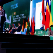 African Development Bank’s Akinwumi Adesina briefs African leaders on Bank’s progress in mobilizing financial resources for the continent