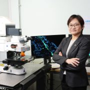PolyU scholar discovers key mechanism of intraocular pressure regulation suggesting novel treatment approaches for glaucoma