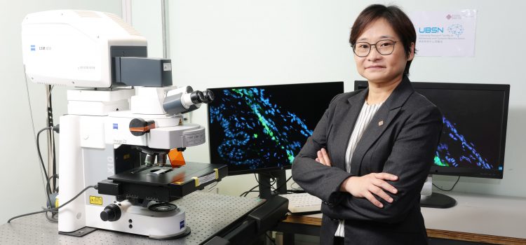 PolyU scholar discovers key mechanism of intraocular pressure regulation suggesting novel treatment approaches for glaucoma