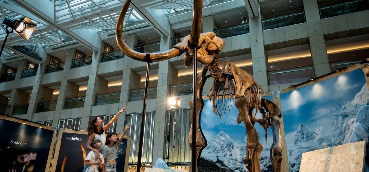In Celebration of Sotheby’s Maison Opening Sotheby’s and LANDMARK Unveil the Largest Woolly Mammoth Public Showcase in Hong Kong
