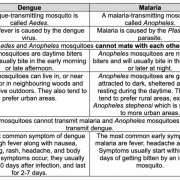 Dengue or Malaria ? How to distinguish mosquito-borne diseases