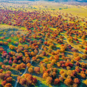 A Meeting with Beauty in Horqin Right Wing Middle Banner of Hinggan League