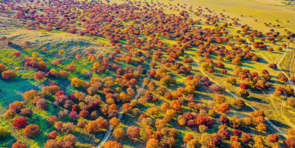 A Meeting with Beauty in Horqin Right Wing Middle Banner of Hinggan League