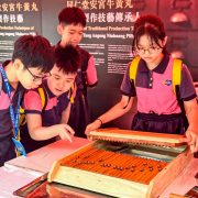 The Beijing Tong Ren Tang Traditional Chinese Medicine Culture Carnival Citizens Experience Intangible Cultural Heritage Chinese Medicine Pill-Rolling Balancing Chinese Culture and Entertainment