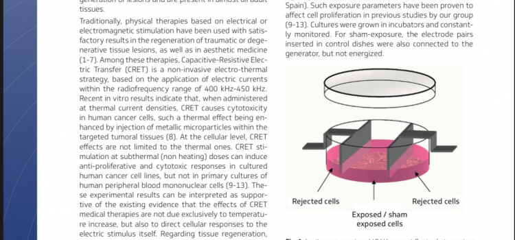 Breakthrough Study Highlights INDIBA Proionic 448kHz’s Role in Stem Cell Proliferation