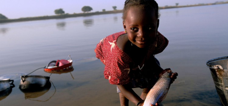 WHO verifies Niger as the first country in the African Region to eliminate onchocerciasis