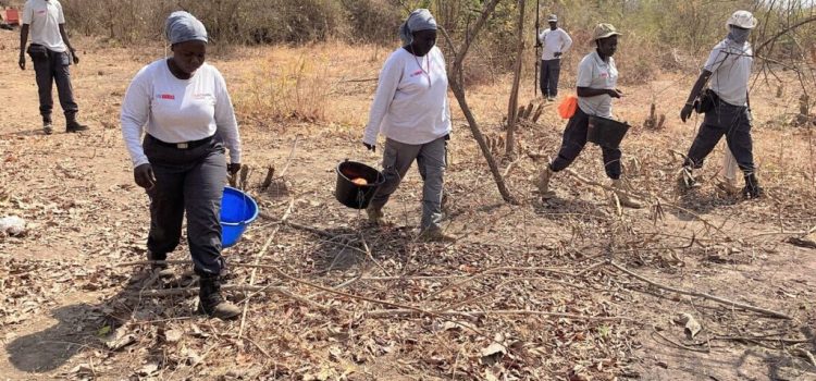 New Beginnings: UNMISS, humanitarians and government facilitate reintegration of displaced persons