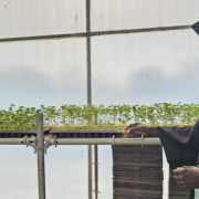 Korean engineers empower young students by providing them with sustainable skills