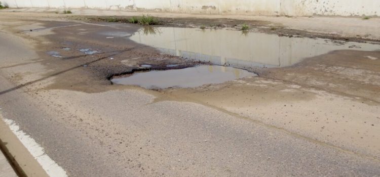 World Bank Promotes Inclusive Connectivity in Lake Chad Region