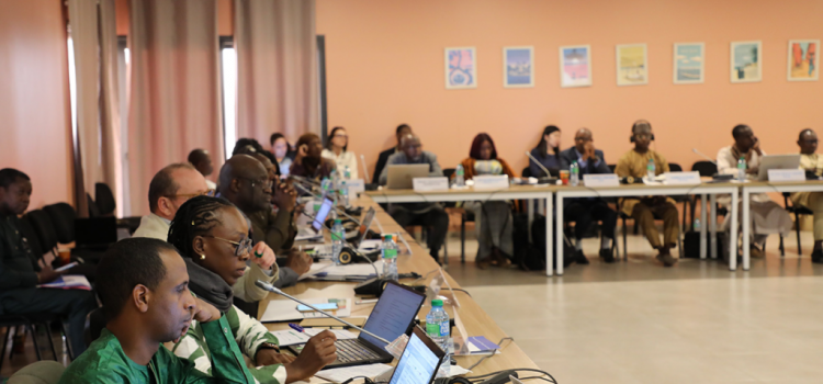 West and Central Africa: UNOWAS and UNOCA pool their efforts to strengthen peaceful coexistence between farmers and herders and ensure the sustainable management of transhumance