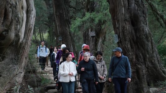 Jian’ge County in Guangyuan Hosts Handover Ceremony for Over 12,000 Ancient and Famous Trees