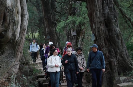 Jian’ge County in Guangyuan Hosts Handover Ceremony for Over 12,000 Ancient and Famous Trees