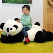 Shama Hub Metro South Hong Kong Unveils Characteristic Panda-Themed Rooms This Spring