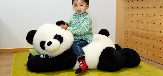 Shama Hub Metro South Hong Kong Unveils Characteristic Panda-Themed Rooms This Spring