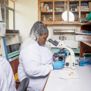 Malaria is an African problem and Africa must find the solution