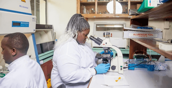 Malaria is an African problem and Africa must find the solution