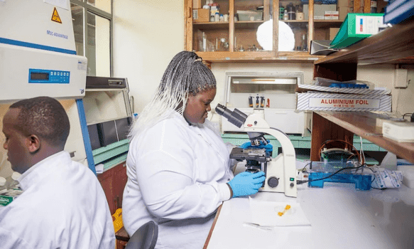 Malaria is an African problem and Africa must find the solution