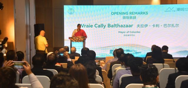 Ancient Port, New Voyages: Ningbo’s Smart Manufacturing Expands Global Trade Footprint via Maritime Silk Road