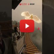 The Changsha Jiandu Museum launches its Digital Exhibition Hall, Allowing Visitors from All Over the World to Adopt Digital Collections with One Click