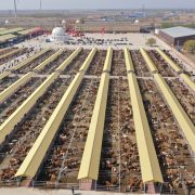 Hinggan League Agricultural, Cultural and Tourism Consumption Carnival Opens in Beijing