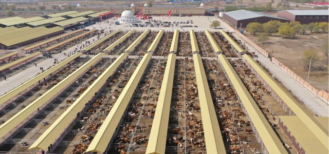 Hinggan League Agricultural, Cultural and Tourism Consumption Carnival Opens in Beijing