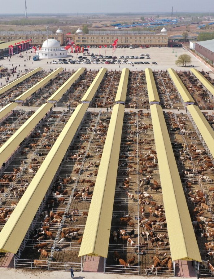 Hinggan League Agricultural, Cultural and Tourism Consumption Carnival Opens in Beijing